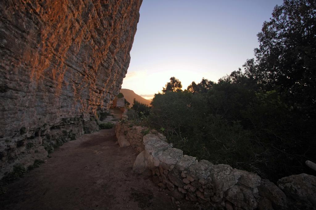 Monteleone Rocca Doria Brancadoria B&B מראה חיצוני תמונה