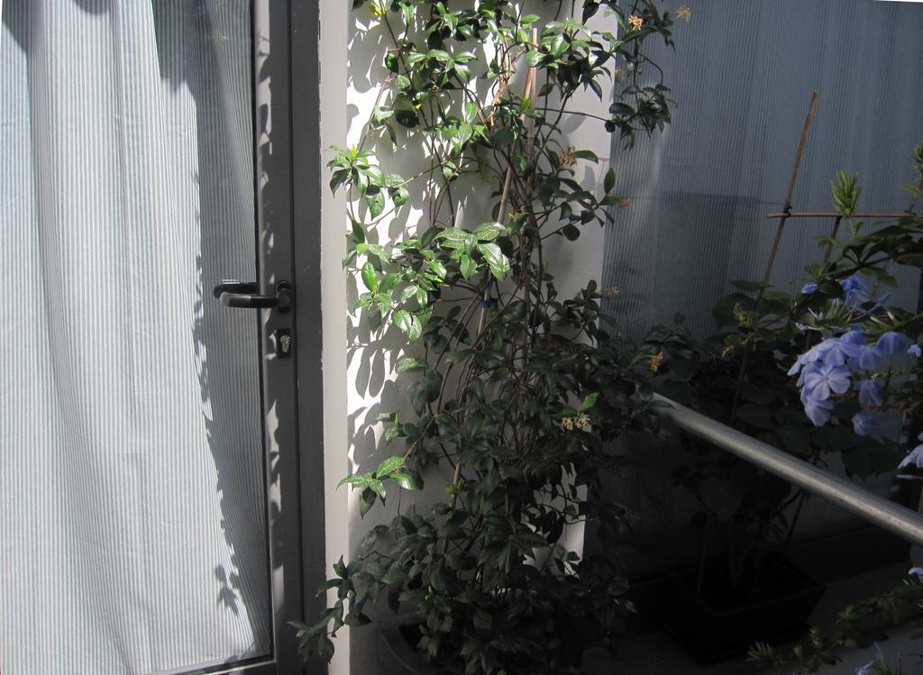 Monteleone Rocca Doria Brancadoria B&B מראה חיצוני תמונה