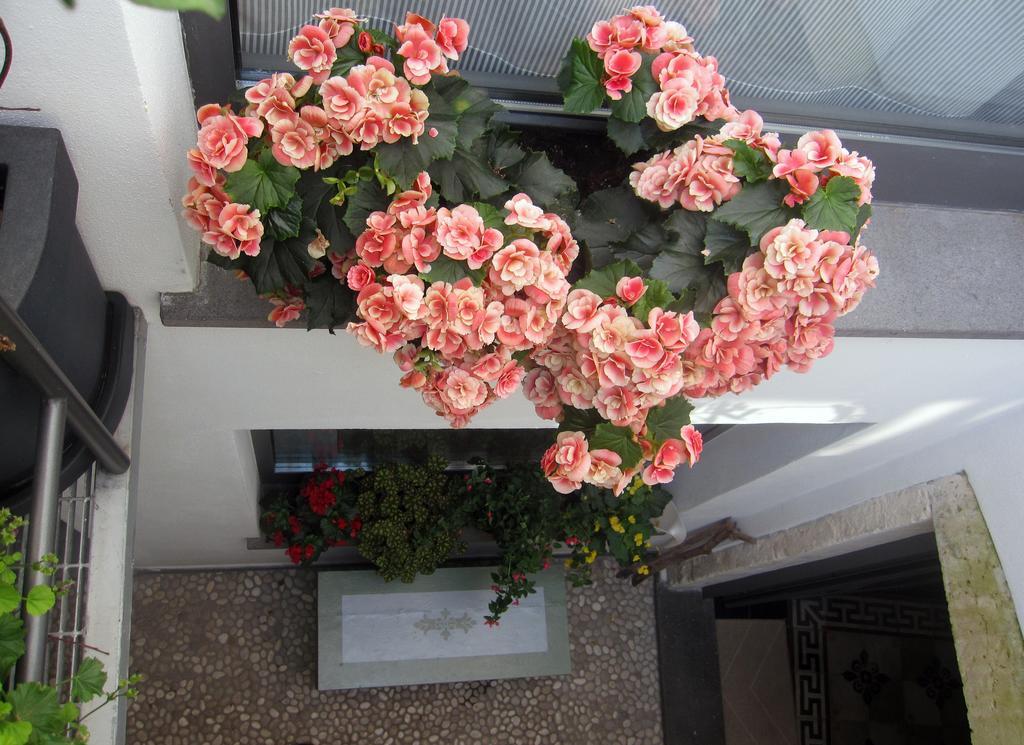 Monteleone Rocca Doria Brancadoria B&B מראה חיצוני תמונה