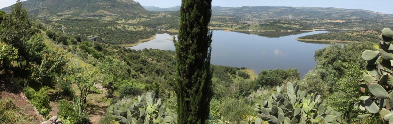 Monteleone Rocca Doria Brancadoria B&B מראה חיצוני תמונה